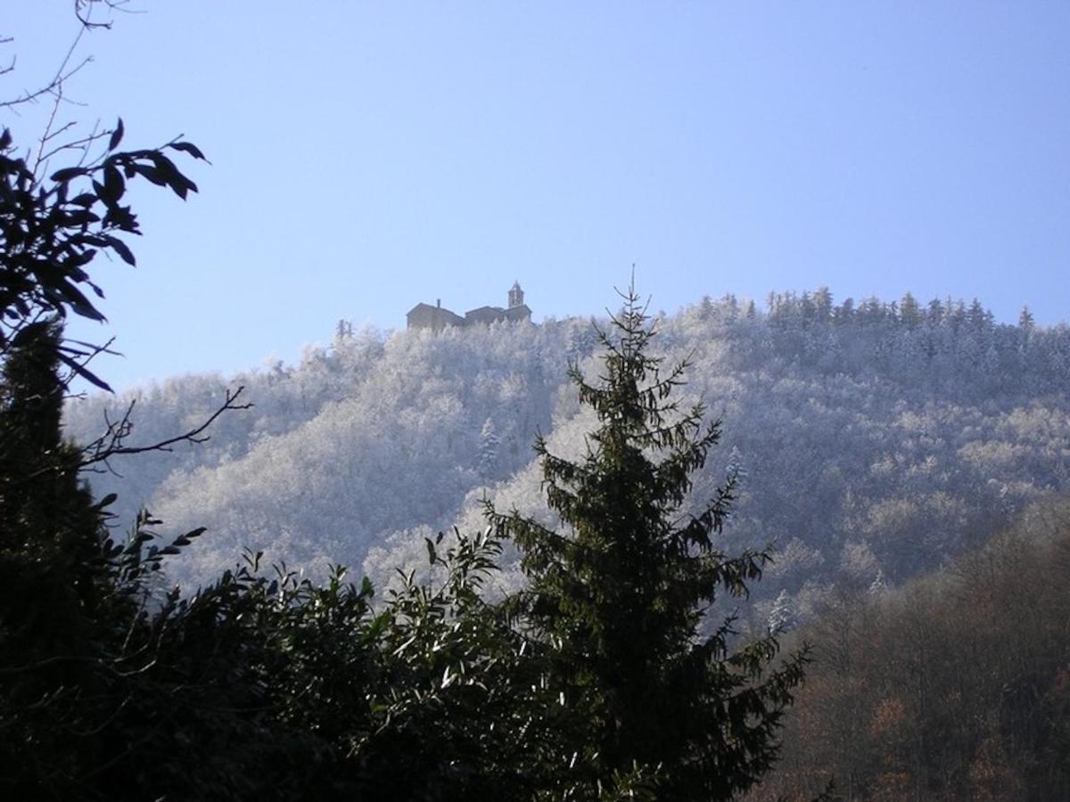 Villa Porcigliano Olive Grove Polcanto Exterior photo