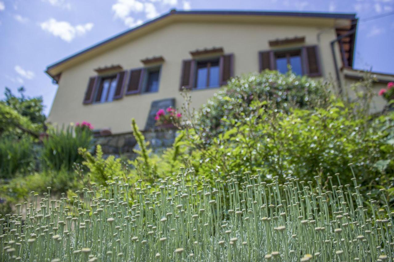Villa Porcigliano Olive Grove Polcanto Exterior photo