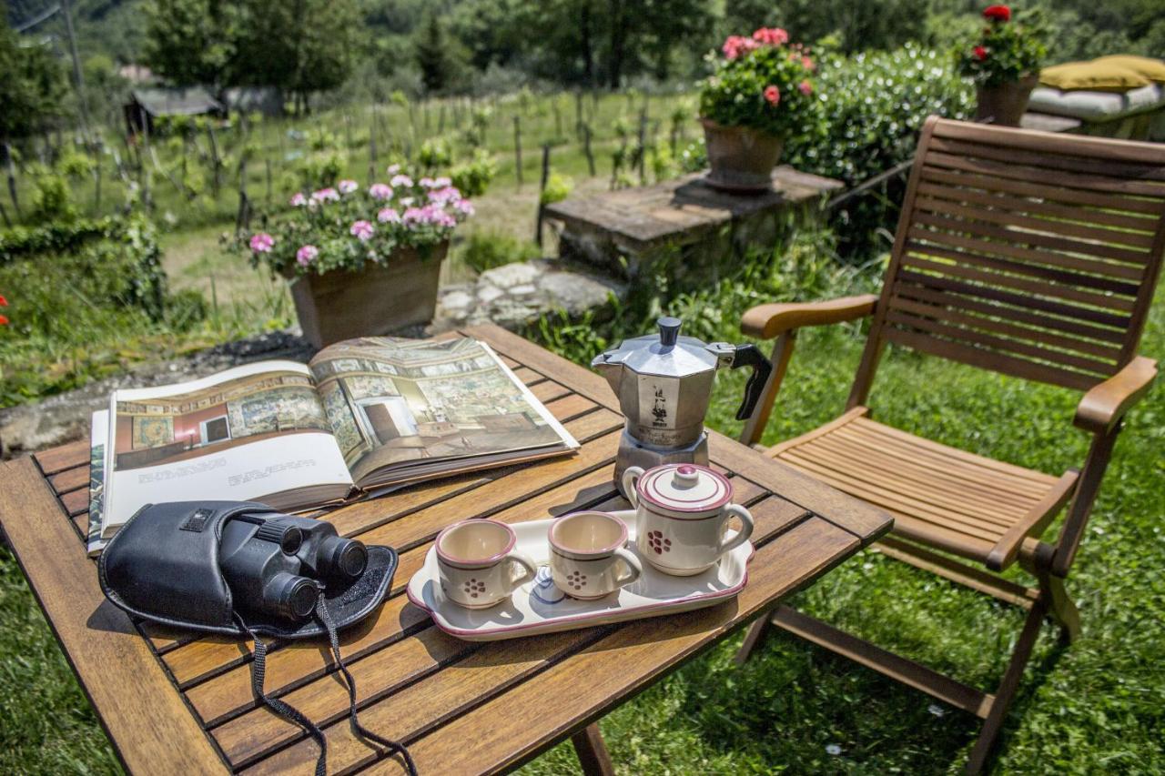 Villa Porcigliano Olive Grove Polcanto Exterior photo