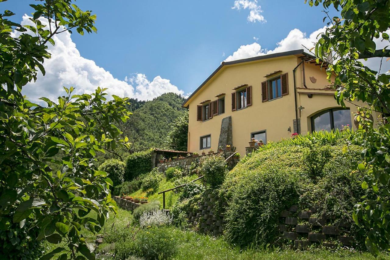 Villa Porcigliano Olive Grove Polcanto Exterior photo